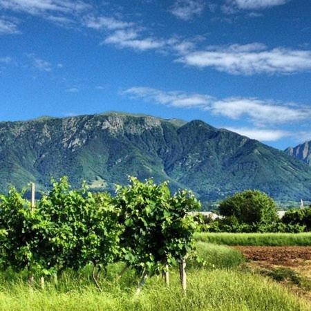 Apartament Montegrappa Dream Crespano del Grappa Zewnętrze zdjęcie